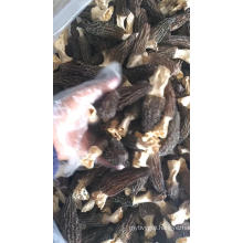 High Nutrition Food Mushroom Dried Black Morel